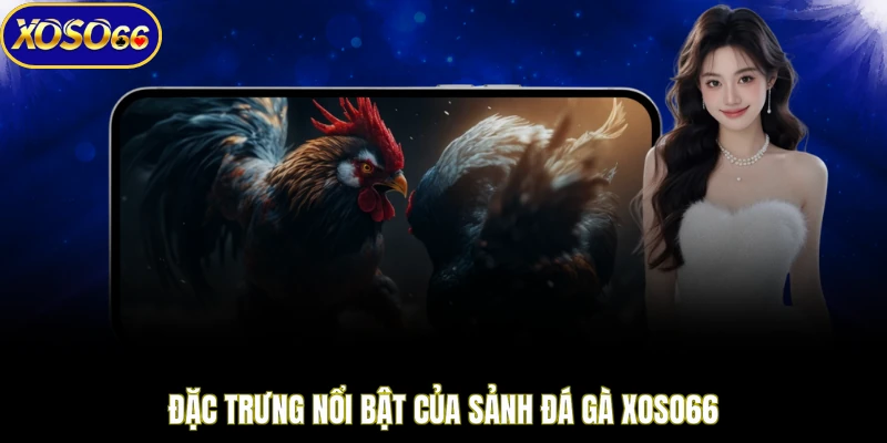 Đặc trưng nổi bật của sảnh đá gà XOSO66