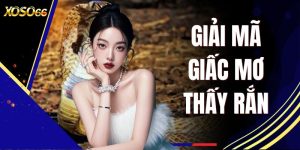 Giải Mã Giấc Mơ Thấy Rắn - Top 10 Con Số May Mắn Phát Tài