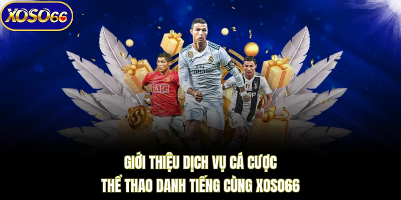 Giới thiệu dịch vụ cá cược thể thao danh tiếng cùng XOSO66