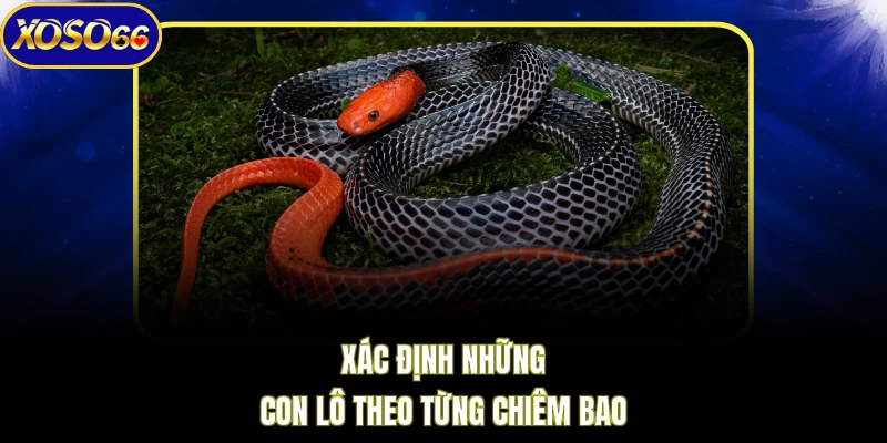 Xác định những con lô theo từng chiêm bao